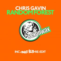 Chris Gavin – Random Forest (Omid 16B Re-edit)